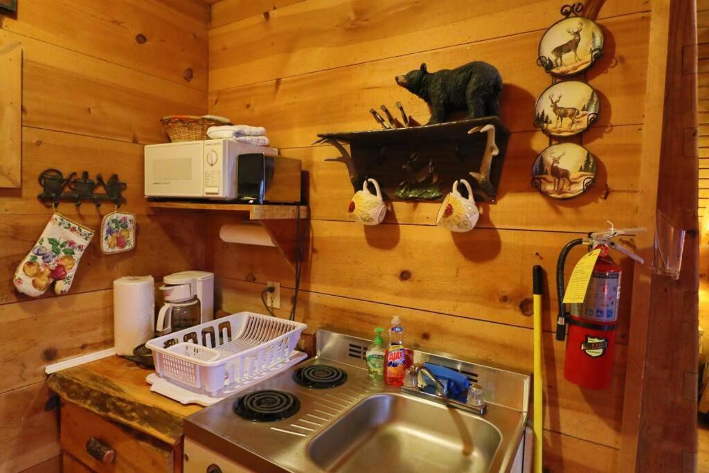 Cozy Cabin W/ Fireplace 3 Minutes To Helen! #2. Екстериор снимка